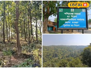 Purulia : পুরুলিয়ার শান্ত গ্রামে প্রবল আতঙ্ক, আঁচড়ে-কামড়ে ৬ গ্রামবাসীকে ক্ষতবিক্ষত করল ভয়ানক এক প্রাণী!
