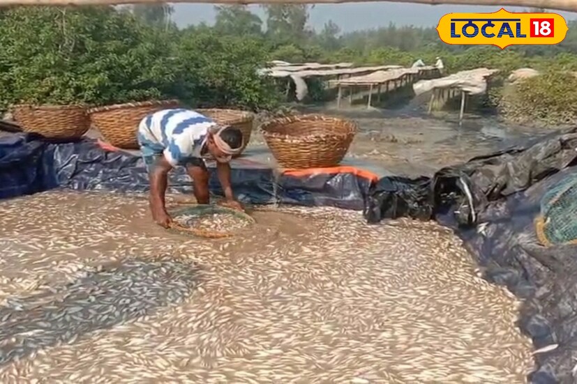 এই শিল্পে কাজ করা শ্রমিক ও মহিলারা জানিয়েছেন, প্রতিদিনের কাজ বন্ধ হয়ে যাওয়ায় তাদের আয় শূন্য। সংসার চালানো কঠিন হয়ে পড়েছে। অনেক শ্রমিক বিকল্প কাজের সন্ধান করছেন। তবে দীর্ঘদিন এই শিল্প বন্ধ থাকলে উপকূলীয় এলাকার অর্থনীতি বড় ধরনের ধাক্কা খাবে বলে আশঙ্কা করছেন স্থানীয়রা।