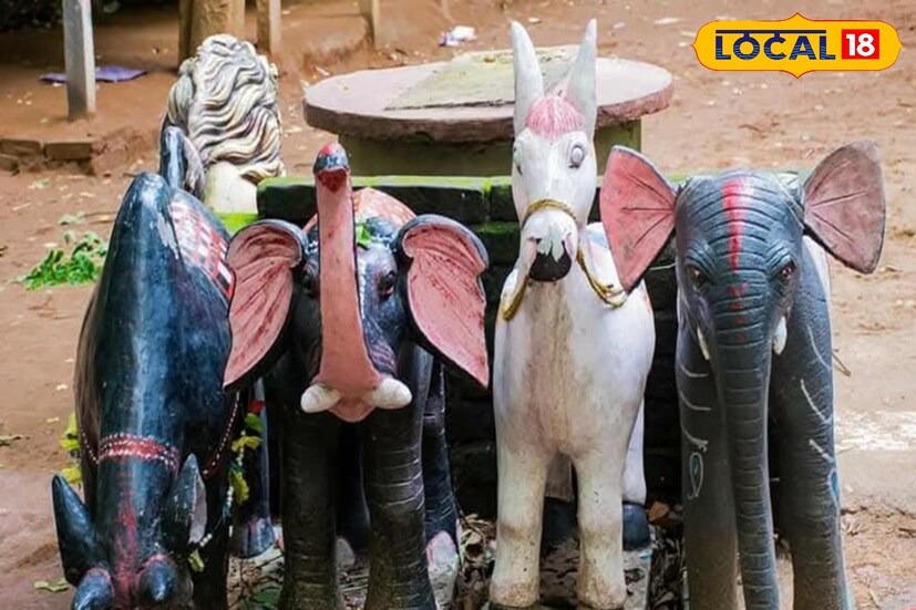 প্রায় ৩৫০ বছরেরও বেশি প্রাচীন এই দেবতা। এখানকার যিনি প্রধান পুরোহিত তিনি একজন নারী। কেউ বলেন ইনি সাপের দেবতা। চার পাশে জঙ্গলে ঘেরা লোধা সম্প্রদায়ের বাস। এদের উপাস্য দেবতা কালুয়া ষাঁড়। (ছবি ও তথ্য - তন্ময় নন্দী)