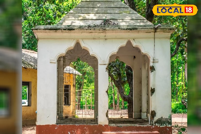 নয়াগ্রাম, ঝাড়গ্ৰাম, তন্ময় নন্দী: নয়াগ্রামের খড়িকামাথানি থেকে মাত্র কিছুটা গেলেই একটি মন্দির রয়েছে। যেখানে দেবতার আসনে রয়েছে প্রাণী। এলাকায় গভীর শালের জঙ্গল একটা সময় এখন দিয়ে পর হতে গেলে গা ছম ছম করে উঠত। এখান দিয়ে পার হবার সময় এক বিশেষ প্রাণীকে স্মরণ করত এখনকার বাসিন্দারা। 