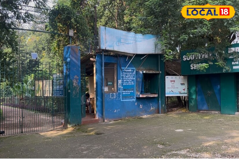 তবে এবার প্রশ্ন আপনি পৌঁছাবেন কী করে! আপনি বোলপুর থেকে যে কোনো ধরনের টোটো ভাড়া করে খুব অনায়াসেই পৌঁছে যেতে পারবেন এই অভয়ারণ্যটি। সেখানে গিয়ে মাত্র কিছু টাকা টিকিট কেটে আপনি পুরো অভয়ারণ্যটি ঘুরতে পারবেন। বাড়ির বাচ্চাদের নিয়ে খুব সুন্দর কয়েক ঘন্টা সময় কাটাতে পারবেন এ কথা বলা যেতেই পারে। তাই এবার বোলপুর শান্তিনিকেতন গেলে অবশ্যই ঘুরে আসুন এই জায়গা থেকে।