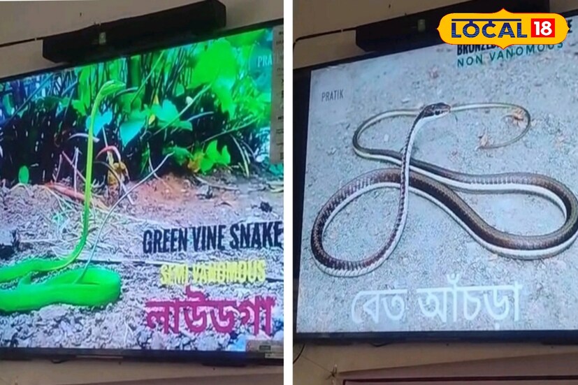 শহরাঞ্চলে সাপ সম্পর্কে মানুষ কিছুটা সচেতন হলেও গ্রামের মানুষের মধ্যে বেশ ভুল ধারনা বর্তমান। তাঁরা সাপের কামড়ে হাসপাতাল না গিয়ে ছুটে যায় ওঝার কাছে। অহেতুক ভীতিই ডেকে আনে মৃত্যুর কারণ। আর এই সকল ভুল ধারনা দূর করতে এমন শিবিরের আয়োজন। সুস্মিতা গোস্বামী 