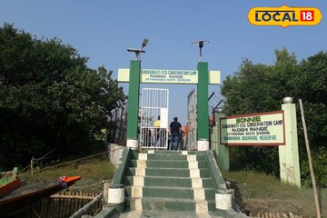 পুজোয় ঘুরে আসুন বনি ক্যাম্প, একবার গেলে বার বার যেতে চাইবেন, কপালে থাকলে বাঘের দেখা মিলবে