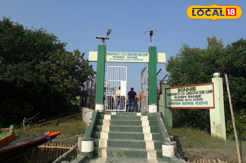 *রায়দিঘি, দক্ষিণ ২৪ পরগনা, নবাব মল্লিক: পুজোর মাস মানেই ঘুরতে যাওয়ার মরশুম শুরু। আর এই সময়ে আপনাকে হাতছানি দিয়ে ডাকছে সুন্দরবনের বনি ক্যাম্প।