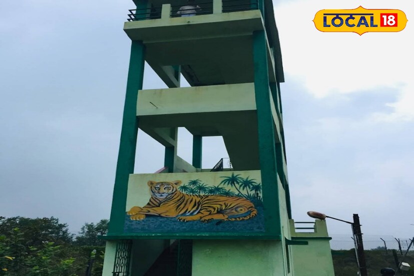 *রায়দিঘি রেঞ্জের এই ক্যাম্পটি খুবই সুন্দর একটি জায়গায়। পর্যটকদের জন্য এখানে তারের জাল দিয়ে ঘেরা সুরক্ষা বলয় রয়েছে। ভিতরে রয়েছে বিভিন্ন ম্যানগ্রোভ গাছ।