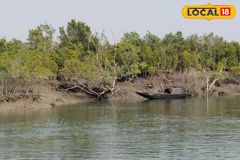 *বনি ক্যাম্পের খুব কাছেই রয়েছে কলস দ্বীপ। সেখানেও একটি ক্যাম্প রয়েছে। ফলে আপনি এই দুটি ক্যাম্প থেকেই সমগ্র সুন্দরবনের আনন্দ পেতে পারবেন। তাহলে আর অপেক্ষা কিসের ঘুরে আসুন বনি ক্যাম্প থেকে।