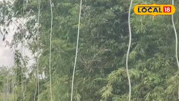 রাজাভাতখাওয়া