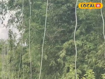রাজাভাতখাওয়া