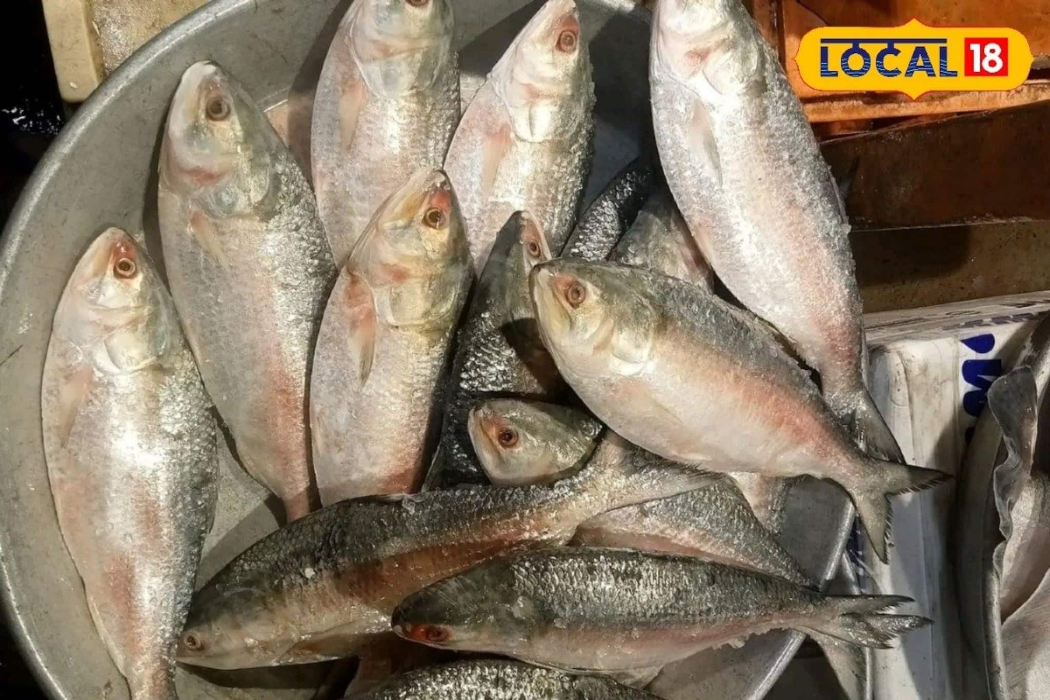 আর পাতে পড়বে না ডিম-সহ ইলিশ মাছ! হঠাৎ কেন এমন সিদ্ধান্ত?