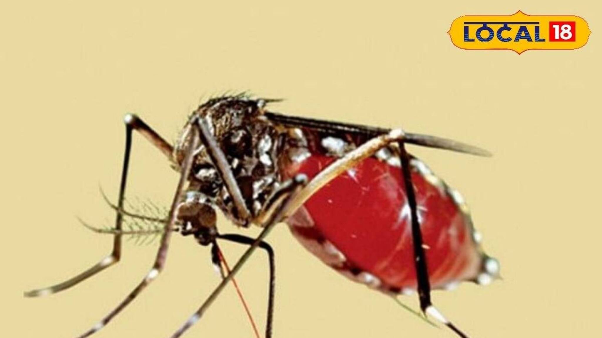 বর্ষায় বেড়েছে ডেঙ্গির প্রকোপ! এবার ড্রোনের সাহায্যে চালানো হল...! চুঁচুড়ায় বড় অভিযান