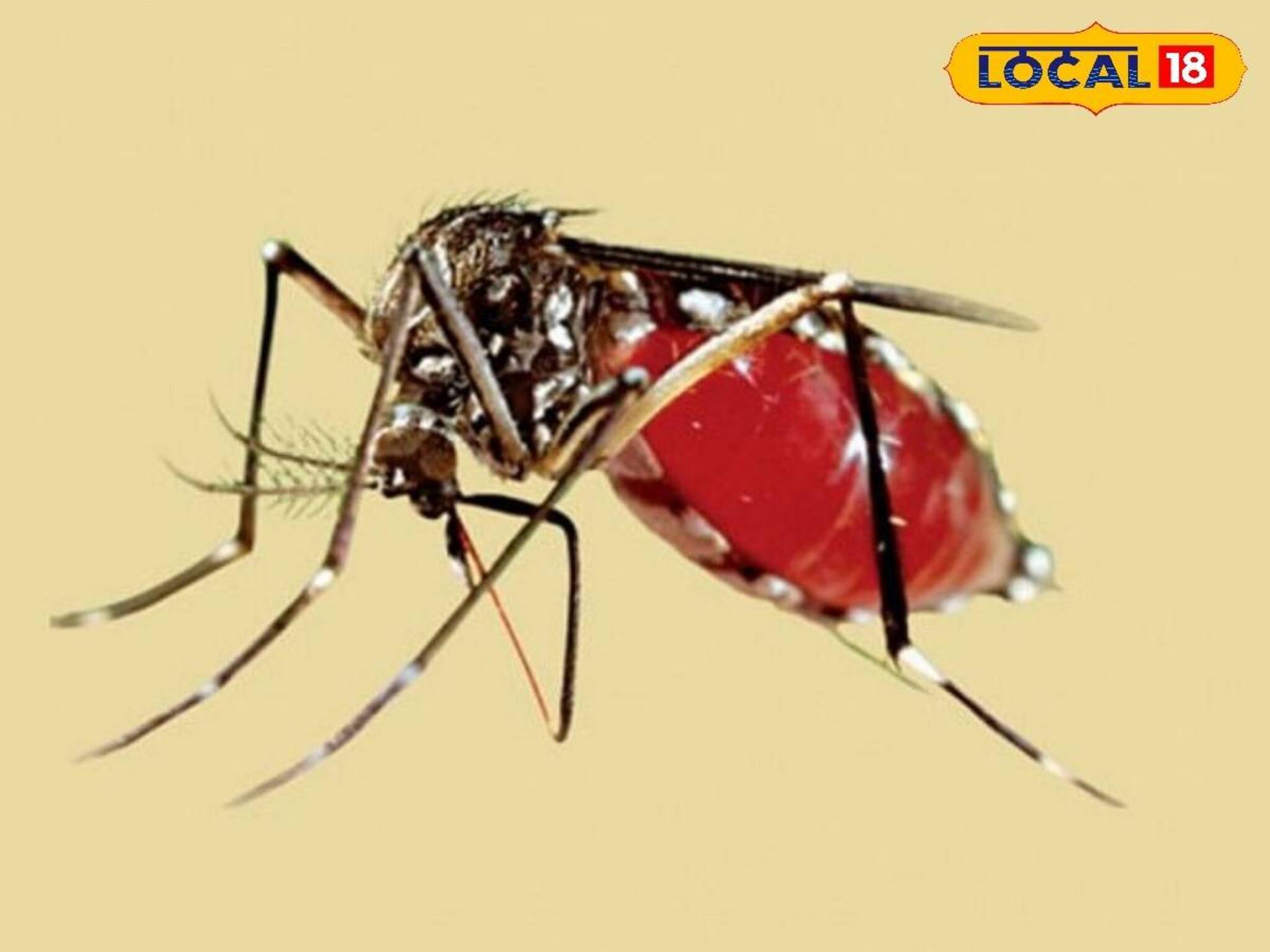 বর্ষায় বেড়েছে ডেঙ্গির প্রকোপ! এবার ড্রোনের সাহায্যে চালানো হল...! চুঁচুড়ায় বড় অভিযান