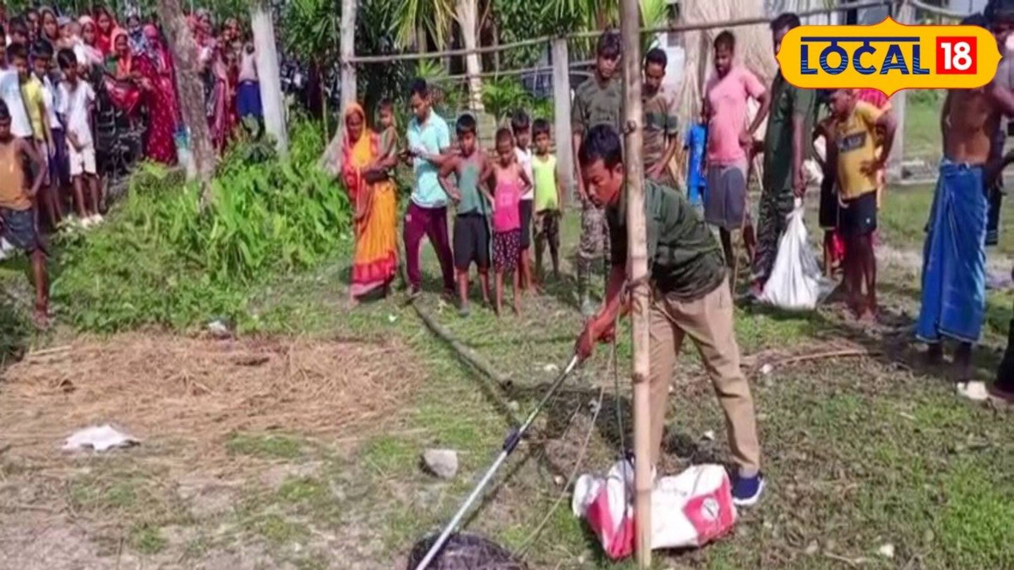 নদীতে মাছ ধরতে গিয়ে পিলে চমকে উঠল! বিশালাকার অজগর... কী সাংঘাতিক কাণ্ড ঘটল জানেন?