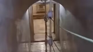 প্রকাশ্যে তাজমহলের গর্ভগৃহের ফুটেজ ! (Photo: Instagram)