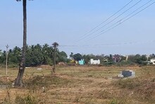 পাট্টা জমি দখল করে বিক্রির চেষ্টা, গ্রামবাসীরা প্রতিবাদ করতেই দালালরা যা করল জানলে...