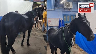 ছিপছিপে ঘোড়ায় ‘ঘোড়দৌড়’ পুলিশের ! ছিপছিপে ঘোড়ায় ‘ঘোড়দৌড়’ পুলিশের !