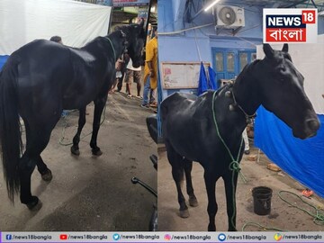 ছিপছিপে ঘোড়ায় ‘ঘোড়দৌড়’ পুলিশের ! 