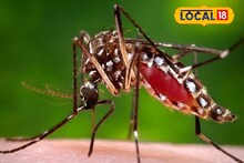 জেলায় বাড়ছে ম্যালেরিয়ার প্রকোপ, আক্রান্তের সংখ্যা সেঞ্চুরি পার! কোন এলাকায় সবচেয়ে বেশি?