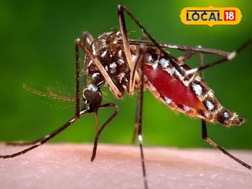 ম্যালেরিয়া আক্রান্তের সংখ্যা সেঞ্চুরি পার। প্রতীকী ছবি 