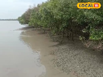রায়মঙ্গলের