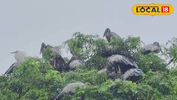 ঝাড়গ্রামের