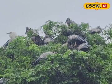 ঝাড়গ্রামের