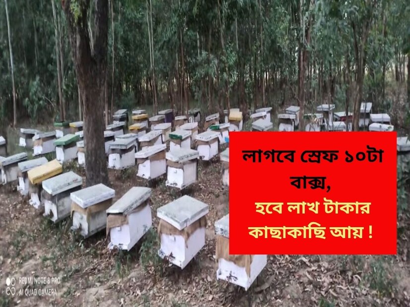 যদি কৃষকরা পরিবর্তিত আবহাওয়ায় মৌমাছি পালনের কথা ভেবে থাকেন, তাহলে এই খবরটি তাঁদের জন্য কার্যকর হতে পারে। কম পুঁজি দিয়ে শুরু করা যেতে পারে এমন এই কাজটি অল্প সময়ের মধ্যেই আয়ের একটি ভাল উৎস হয়ে উঠতে পারে, যদি কেউ এটি বৈজ্ঞানিক ভাবে শুরু করেন। সমস্তিপুর জেলার পুসার ডক্টর রাজেন্দ্র প্রসাদ কেন্দ্রীয় কৃষি বিশ্ববিদ্যালয়ের মৌমাছি পালন বিশেষজ্ঞ ডক্টর নগেন্দ্র কুমার বলেন যে, যদি কৃষকরা মাত্র ১০টি বাক্স দিয়ে শুরু করেন, তাহলে অস্থায়ী বাক্স প্রায় ৫,০০০ থেকে ৬,০০০ টাকায় প্রস্তুত করা যেতে পারে।
