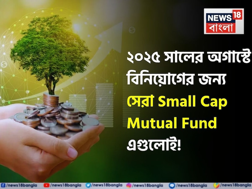 ২০২৪ সালে খুব ছোট কোম্পানির শেয়ারে বিনিয়োগকারী স্মল ক্যাপ মিউচুয়াল ফান্ডগুলি ২৬.৩৮%-এরও বেশি লাভ করেছে। ২০২৫ সালের জুন মাসে স্মল ক্যাপ ফান্ডগুলি আবারও বিনিয়োগকারীদের আগ্রহ অর্জন করেছে এবং ৪,০২৪ কোটি টাকার বিনিয়োগ পেয়েছে।