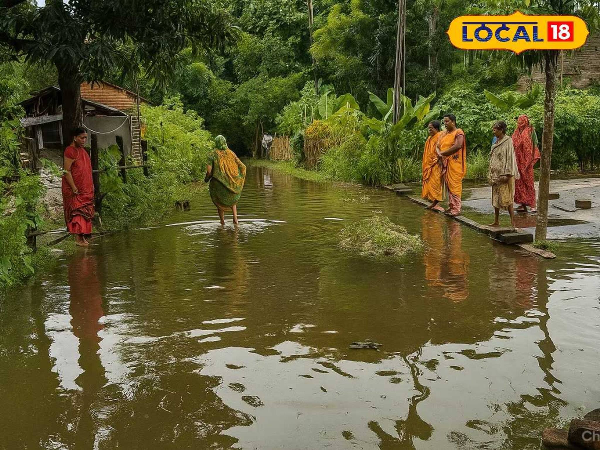 নোংরা জলে থইথই চারপাশ, ঘুরে বেড়াচ্ছে বিষাক্ত পোকামাকড়! আতঙ্কে কাঁটা নদিয়ার এই এলাকার মানুষ