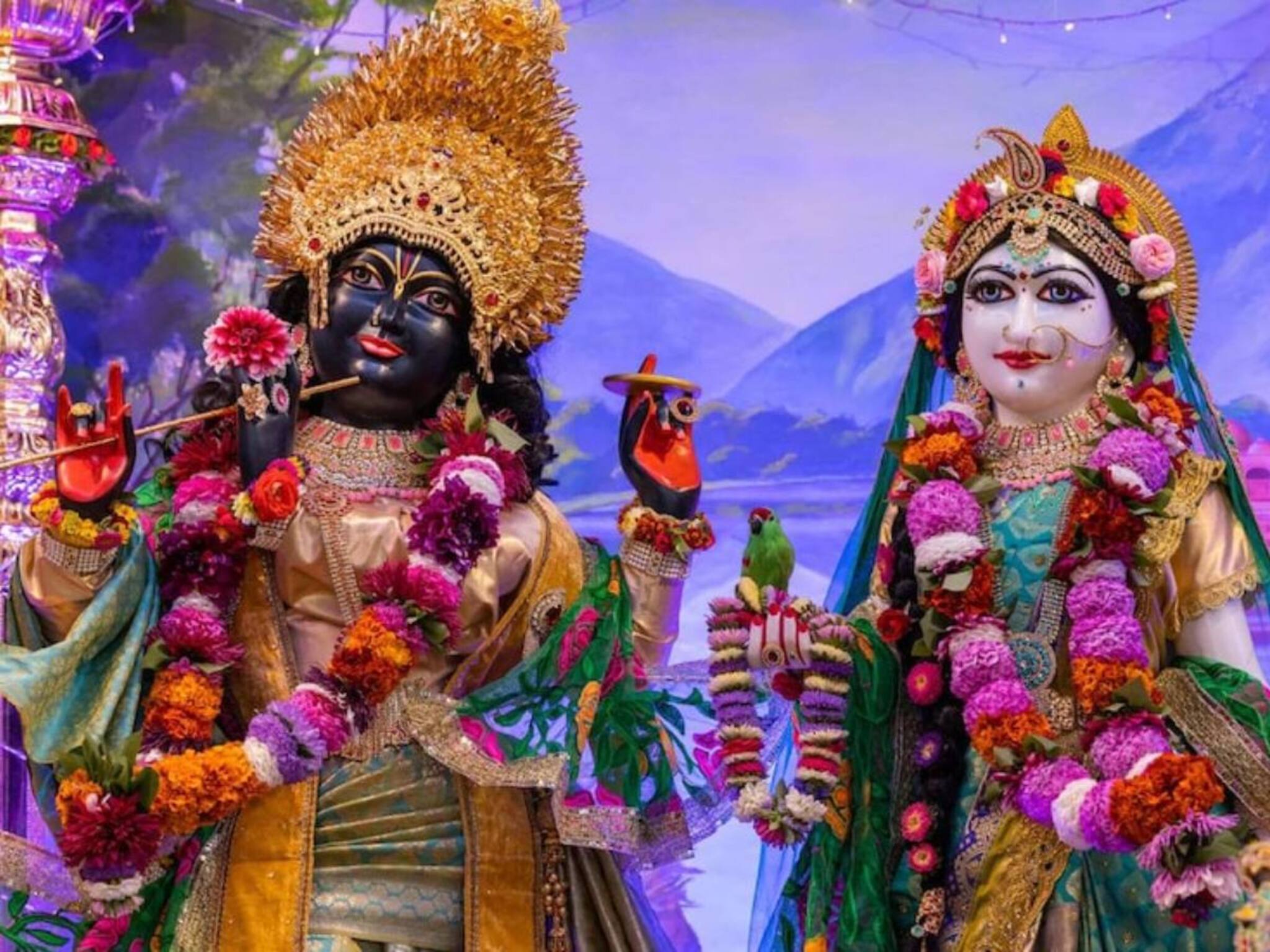 Radhashtami Rituals: রাত পোহালেই রাধাষ্টমী! একটু হলেও মুখে দিন এই ‘ফল’! পুজোয় নিবেদন করুন এই ‘হলুদ ফুল’! বিপদ কেটে অর্থ ও সৌভাগ্যে ভরে থাকবে জীবন
