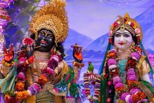 রাধাষ্টমীতে খাবেন না এই ৩ শাক ও ২ সবজি! বিপর্যয়ে ছিন্নভিন্ন জীবন! অভিশাপে তছনছ স্বপ্ন!
