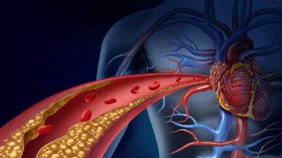 কী জানা গেল?