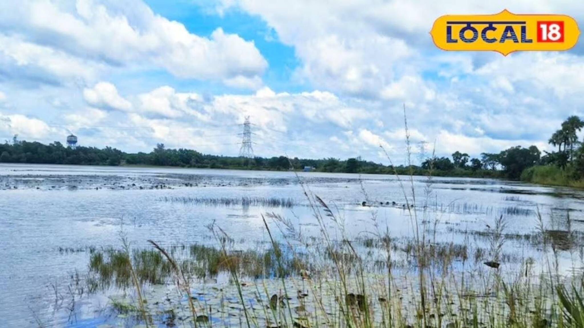 একধারে কাশবন ফুলে ফুলে সাদা...পদ্মবিলে শরত মেঘের ছায়ায় মাছের খেলা দেখতে আসুন অচিনপুরে