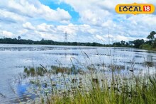 একধারে কাশবন ফুলে ফুলে সাদা...পদ্মবিলে শরত মেঘের ছায়ায় মাছের খেলা দেখতে আসুন অচিনপুরে