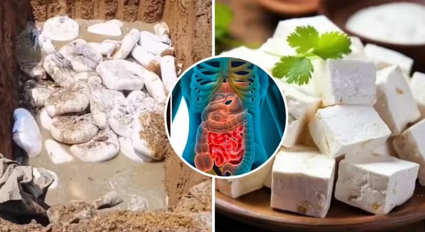 নকল পনিরে প্রায়শই ডিটারজেন্ট, ইউরিয়া থাকে: রাজ্য খাদ্য ও ওষুধ পরীক্ষাগারের ল্যাব টেকনিশিয়ান প্রকাশ পারমারের মতে, আসল পনির হল সেই পনির যা গরুর দুধ থেকে তৈরি করা হয়। নকল পনিরে প্রায়শই ডিটারজেন্ট, ইউরিয়া বা অন্যান্য ভেজাল থাকে, যা স্বাস্থ্যের জন্য মারাত্মক হুমকির কারণ হতে পারে। তিনি বলেন, বাজারে 'অ্যানালগ পনির' নামে একটি পণ্যও বিক্রি হয়, যা দুধ থেকে প্রাকৃতিক চর্বি অপসারণ করে এবং SMP অর্থাৎ স্কিমড মিল্ক পাউডার এবং অন্যান্য উপাদান যোগ করে তৈরি করা হয়। এই সমস্ত প্রক্রিয়া পনিরের গুণমান এবং বিশুদ্ধতাকে প্রভাবিত করে।