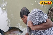পুকুরে মাছের খাবার কি রয়েছে? কীভাবে বুঝবেন? বোঝা যাবে হাত মুঠো করেই! জানুন