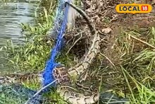 জাল টানতেই ১০ ফুটের বিশাল সাপ বেরিয়ে এল!