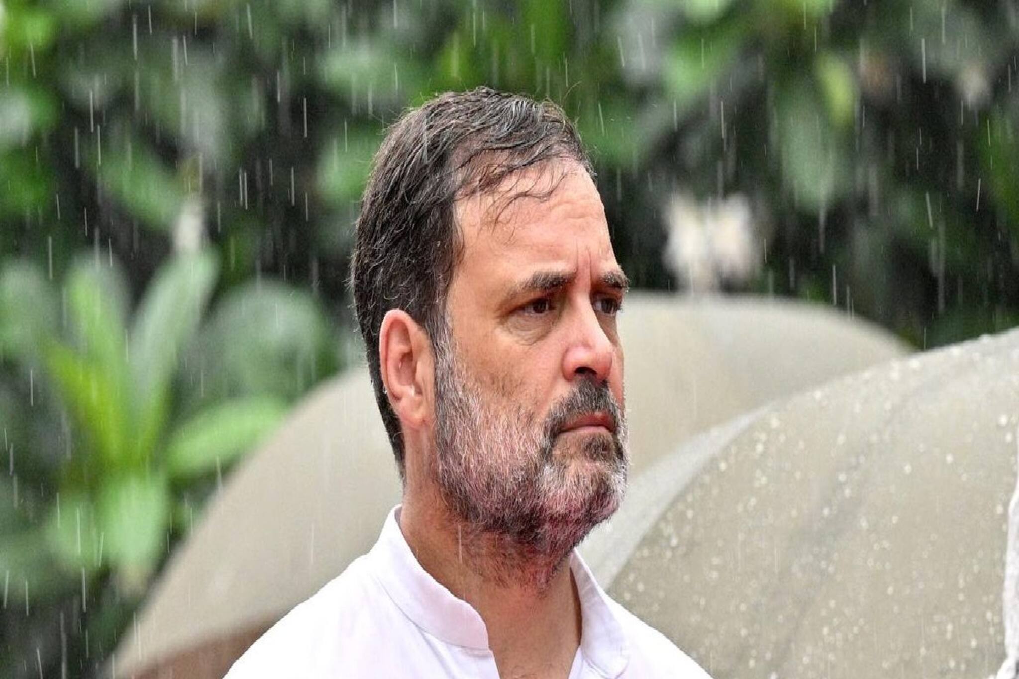 বিহারে বিফল, 'এই ফলাফল সত্যিই বিস্ময়কর', হারের পর প্রথম প্রতিক্রিয়া রাহুল গান্ধির