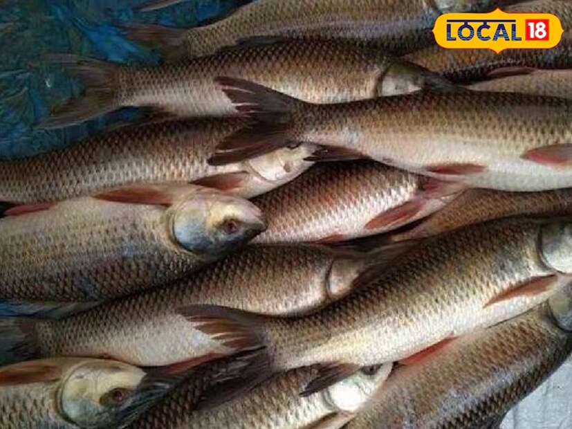 ভিটামিন এ-র পাশাপাশি রুই মাছের মধ্যে প্রচুর পরিমাণে ভিটামিন বি, ভিটামিন সি, ভিটামিন ডি, জিঙ্ক, আয়রন, ম্যাগনেশিয়াম, ফসফরাস, পটাশিয়াম এবং সেলেনিয়ামের মতো অনেক গুরুত্বপূর্ণ পুষ্টি এবং খনিজ উপাদান পাওয়া যায়। যার অর্থ হল, রুই মাছ স্বাস্থ্যের জন্য কোনও মূল্যবান সম্পদের তুলনায় কিছু কম নয়। আবার রুই মাছে প্রচুর পরিমাণে ওমেগা-৩ ফ্যাটি অ্যাসিডও পাওয়া যায়। যা হৃদরোগের প্রতিরোধ করার ক্ষেত্রে খুবই উপকারী। আসলে এটি রক্তে কোলেস্টেরলের মাত্রা এবং প্রদাহ বা ইনফ্লেমেশন কমাতেও সাহায্য করে।