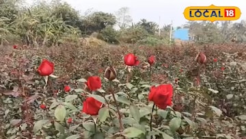 চাষিদের