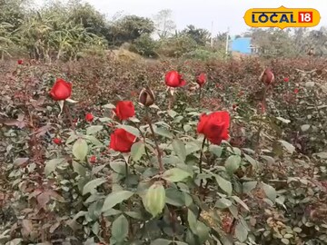 চাষিদের