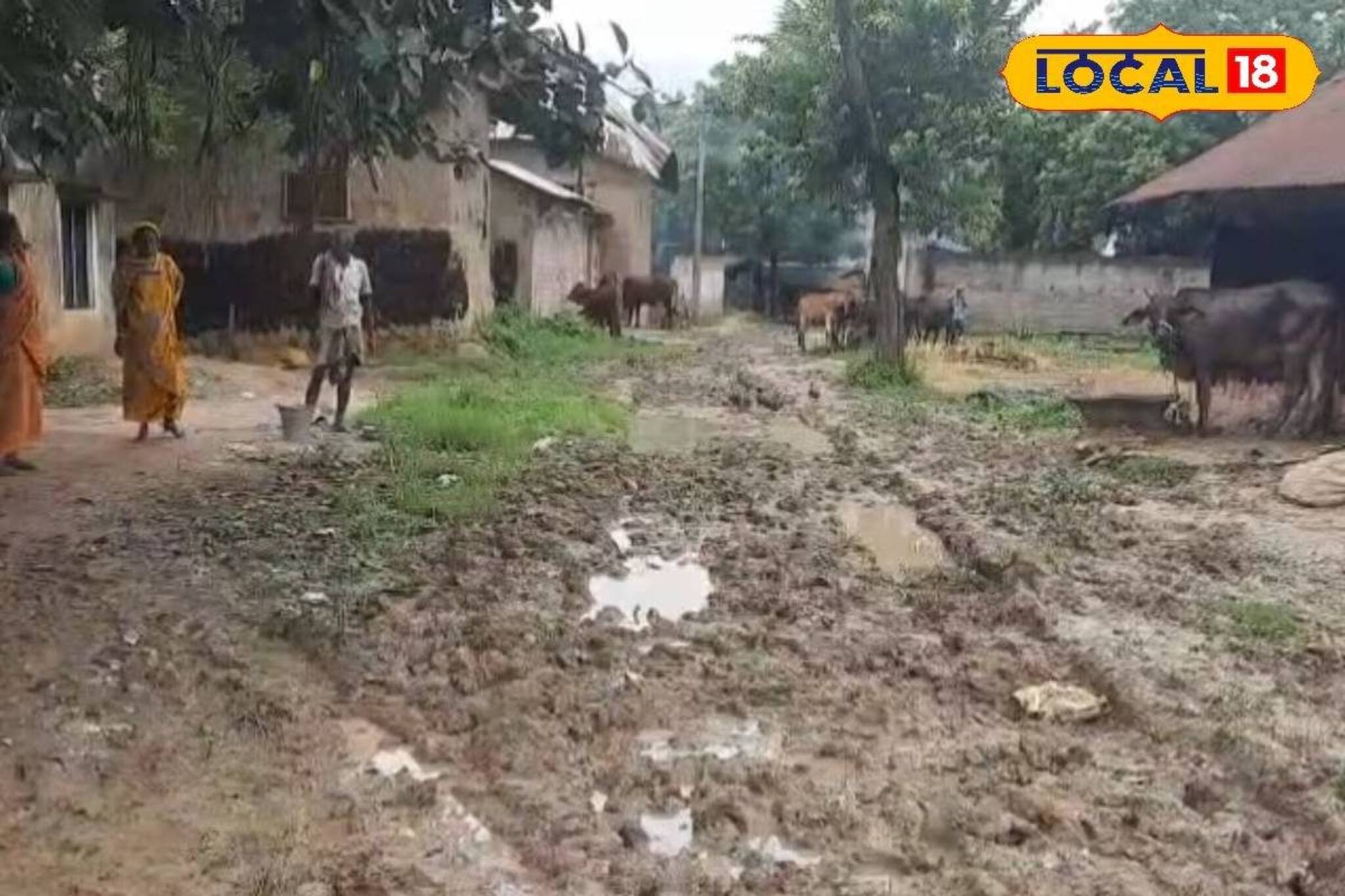 ভারতসেরা পর্যটন গ্রাম, সেই কিরীটেশ্বরী পঞ্চায়েতেই...! ভোট বয়কটের হুঁশিয়ারি গ্রামবাসীদের