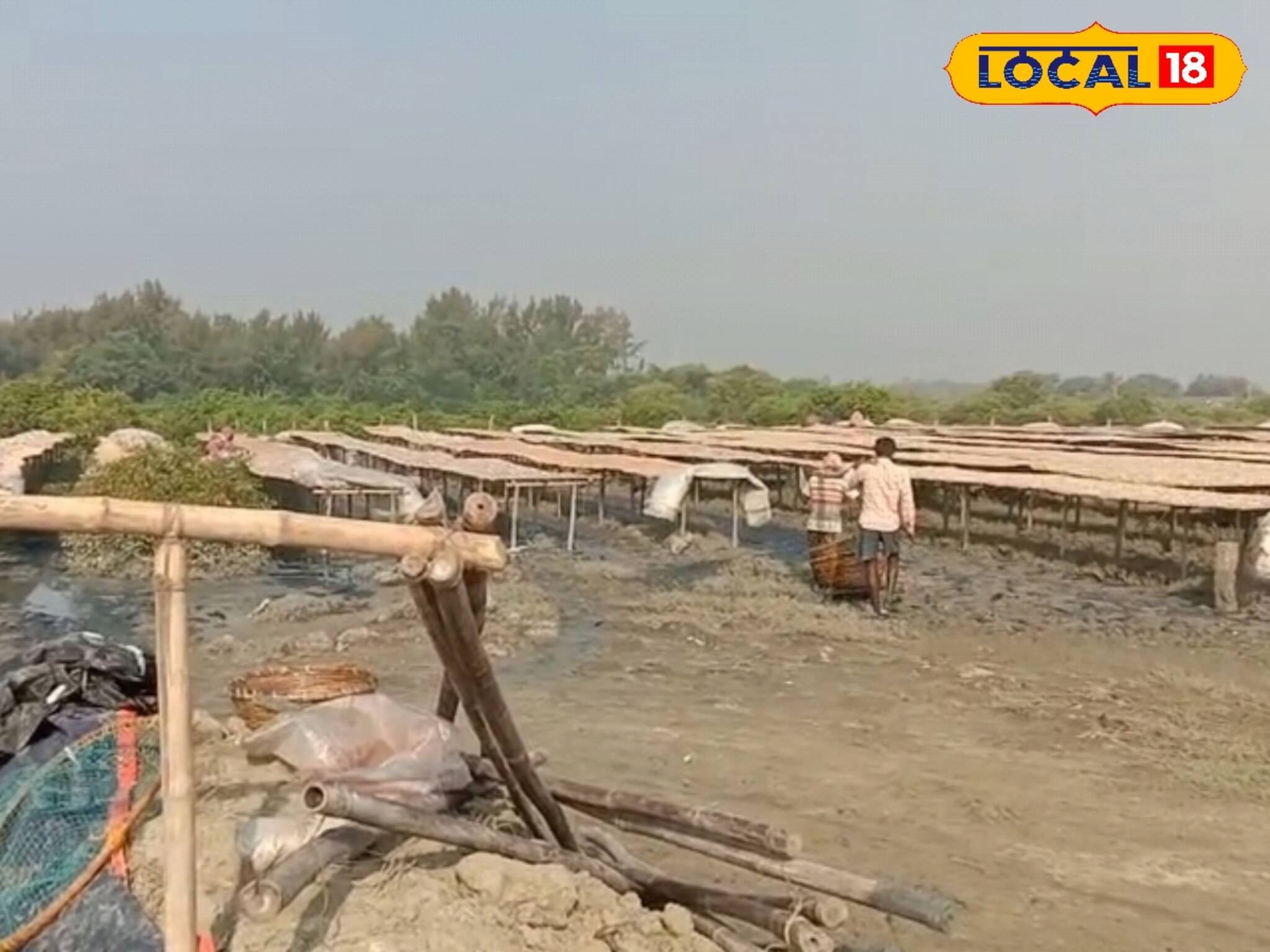 শুঁটকির ব্যবসায় বড়সড় ধস! মাছের বাজারে কোটি কোটি টাকার লোকসান