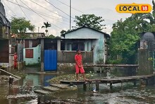 দু'দিন ধরে পড়ে গরুর দেহ, তার পাশেই চলছে খাবারের দোকান! গোটা ওয়ার্ডটাই যেন ডাস্টবিন