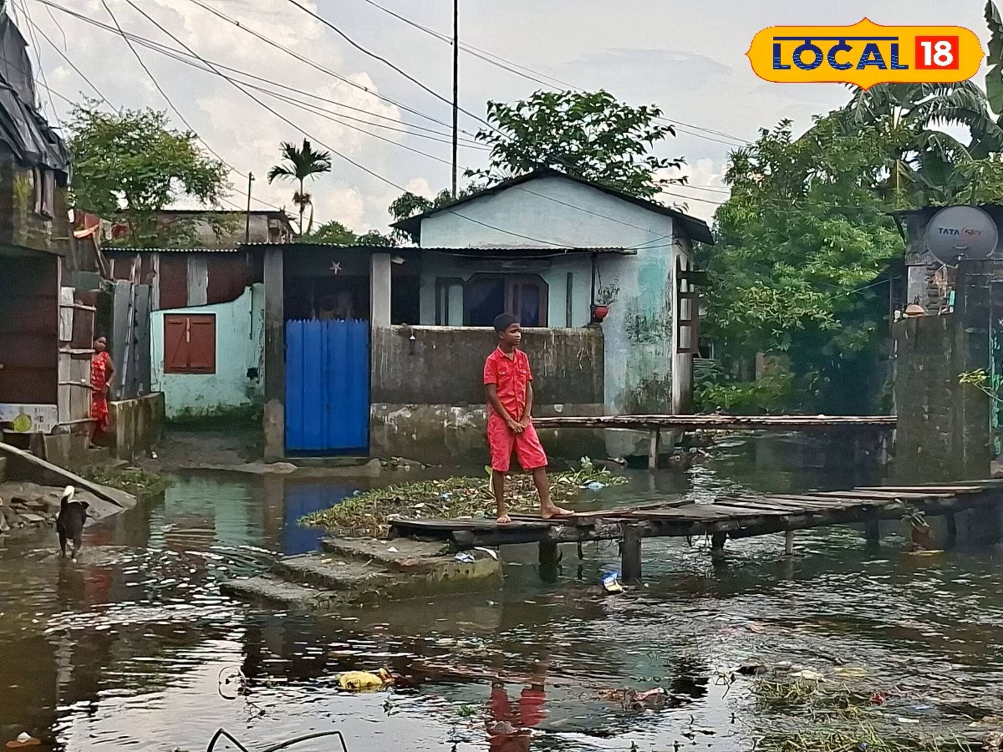 দু'দিন ধরে পড়ে গরুর দেহ, তার পাশেই চলছে খাবারের দোকান! গোটা ওয়ার্ডটাই যেন ডাস্টবিন