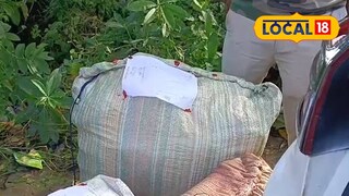 বিপুল পরিমাণে গাঁজা উদ্ধার