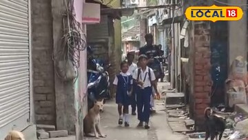 পথকুকুরদের