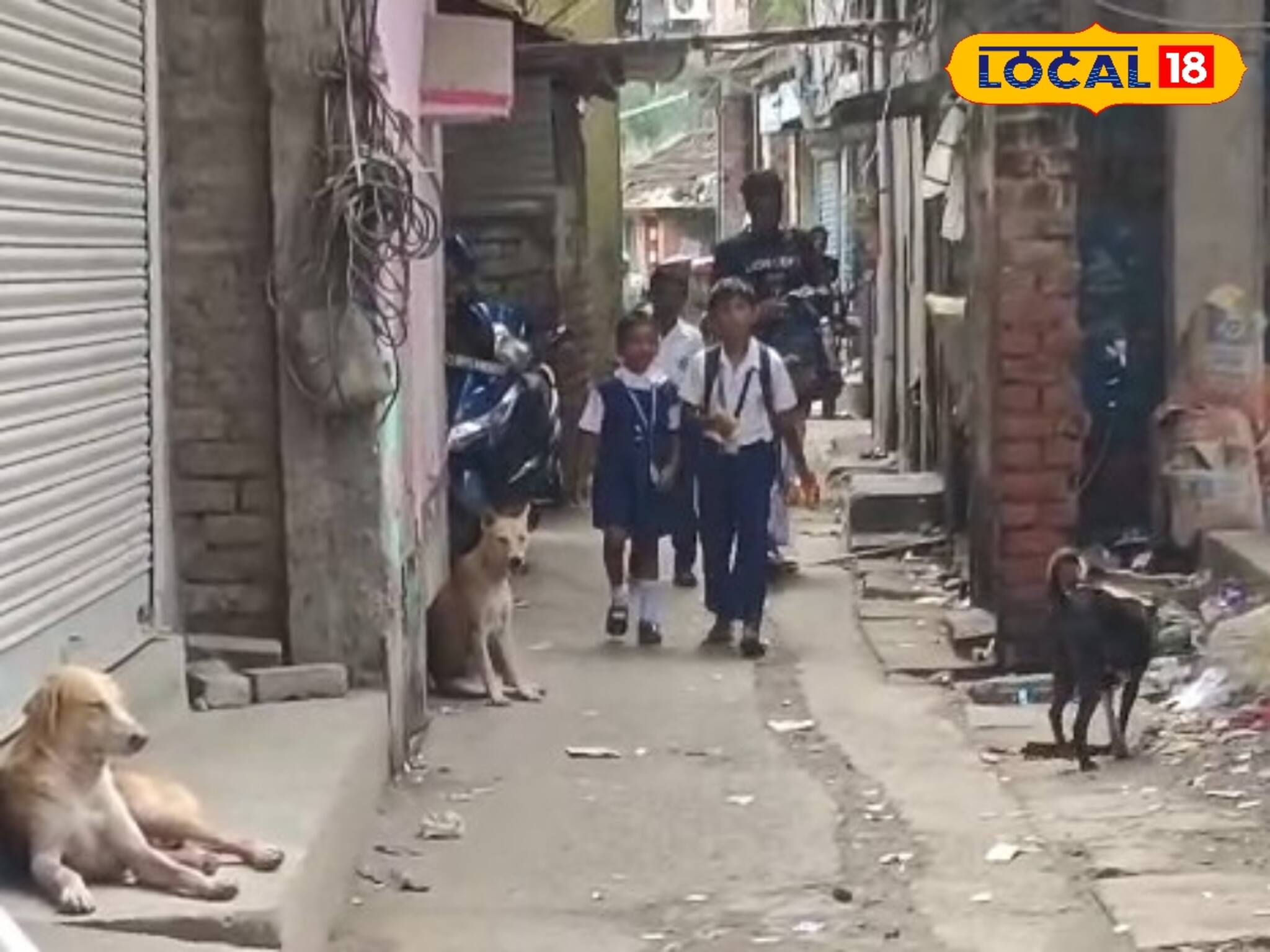 দল বেঁধে ঘুরছে 'তারা', বাড়ি থেকে বের হওয়ার উপায় নেই শিশুদের!