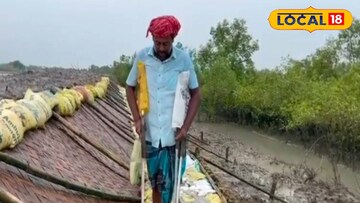 সুন্দরবনকে