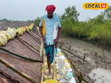 সুন্দরবনকে
