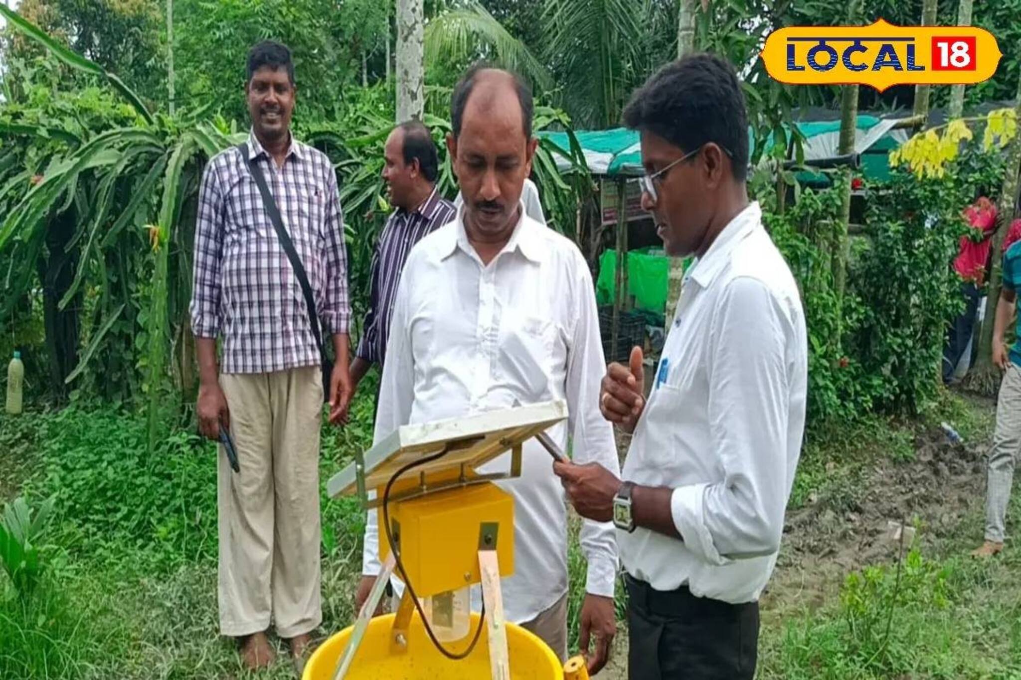নামমাত্র খরচ, নোনা মাটিতেও ফলবে ফসল! 'এই' পদ্ধতিতে চাষ করে হতে পারে বিপুল লক্ষ্মীলাভ